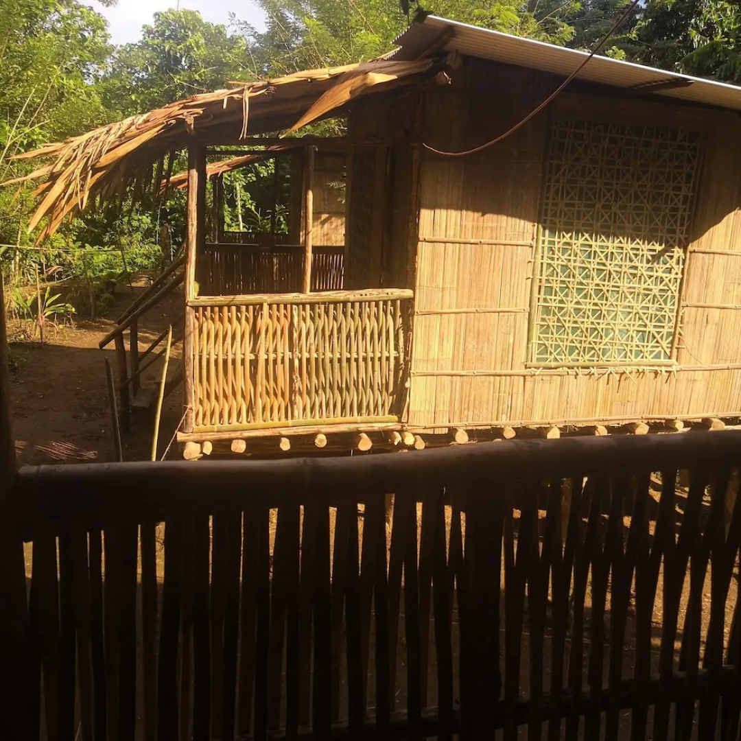Wairiki 4