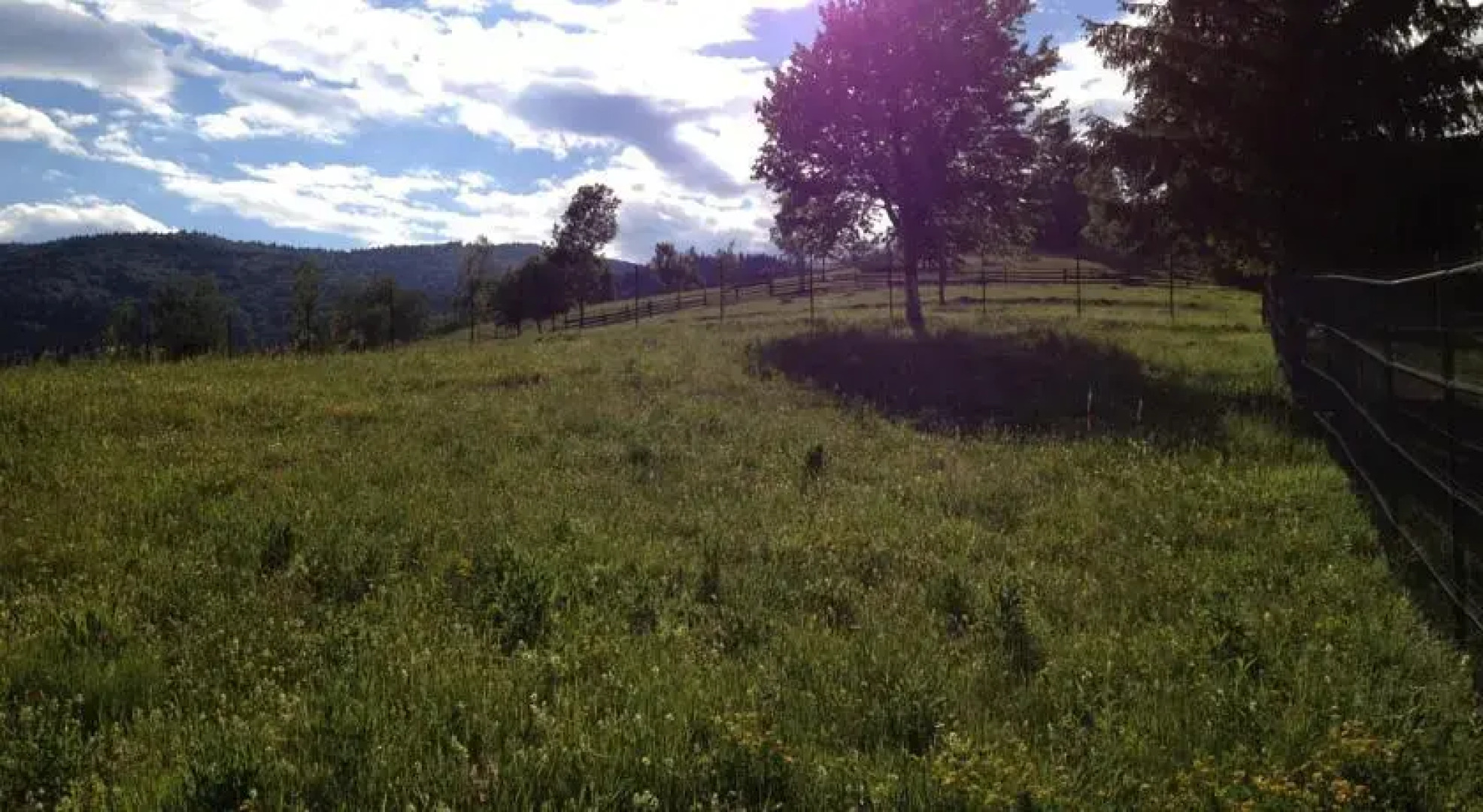 Casa de vacanta La conac