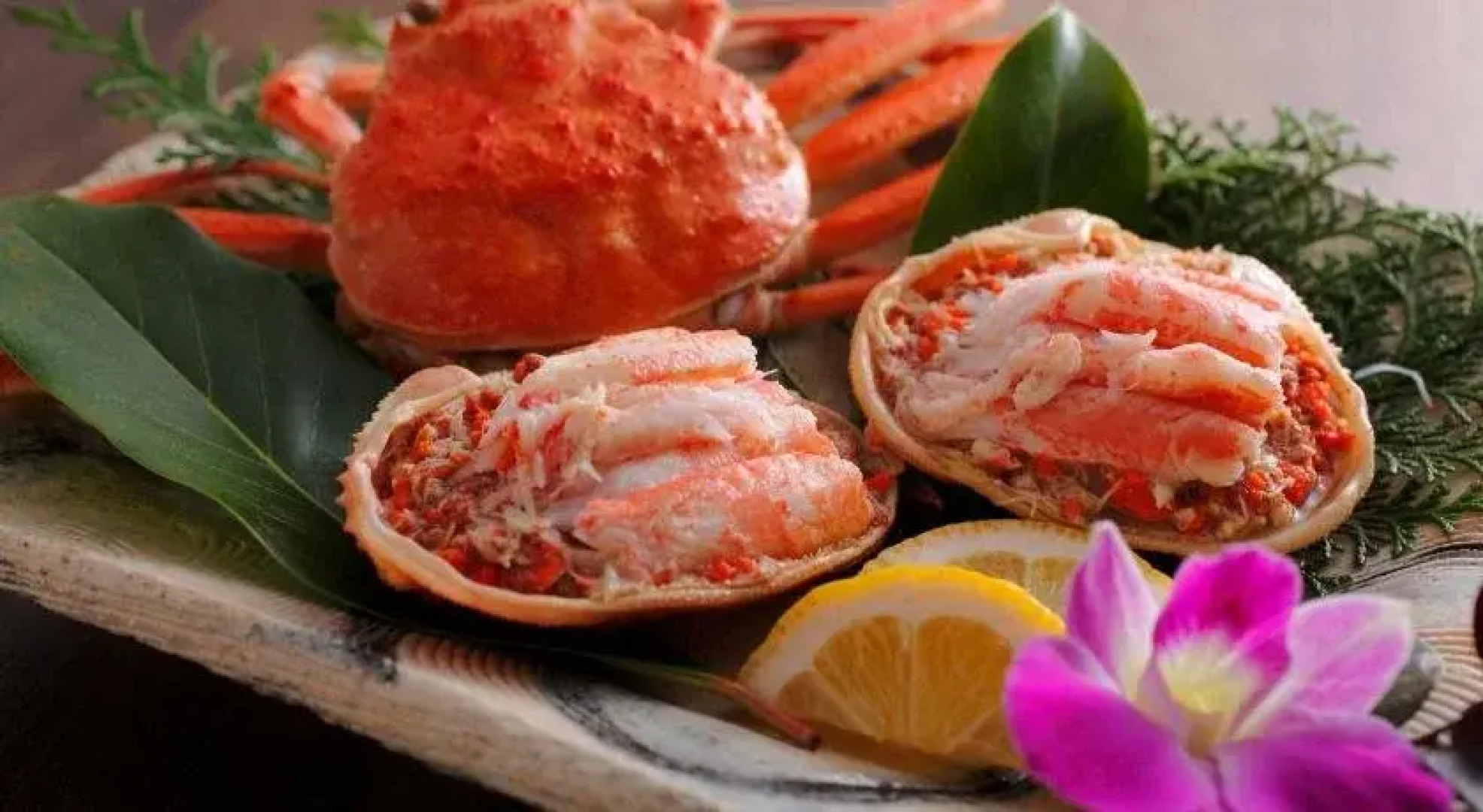 Saninyumura Onsen Kinokairori Kotobukiso