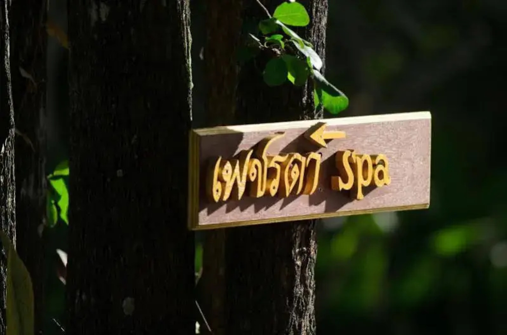 Petchvarin Resort and Spa