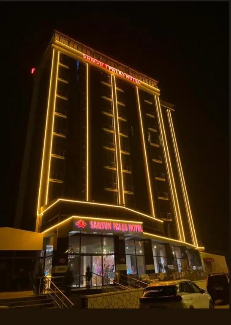 Отель Samsun Palas Hotel