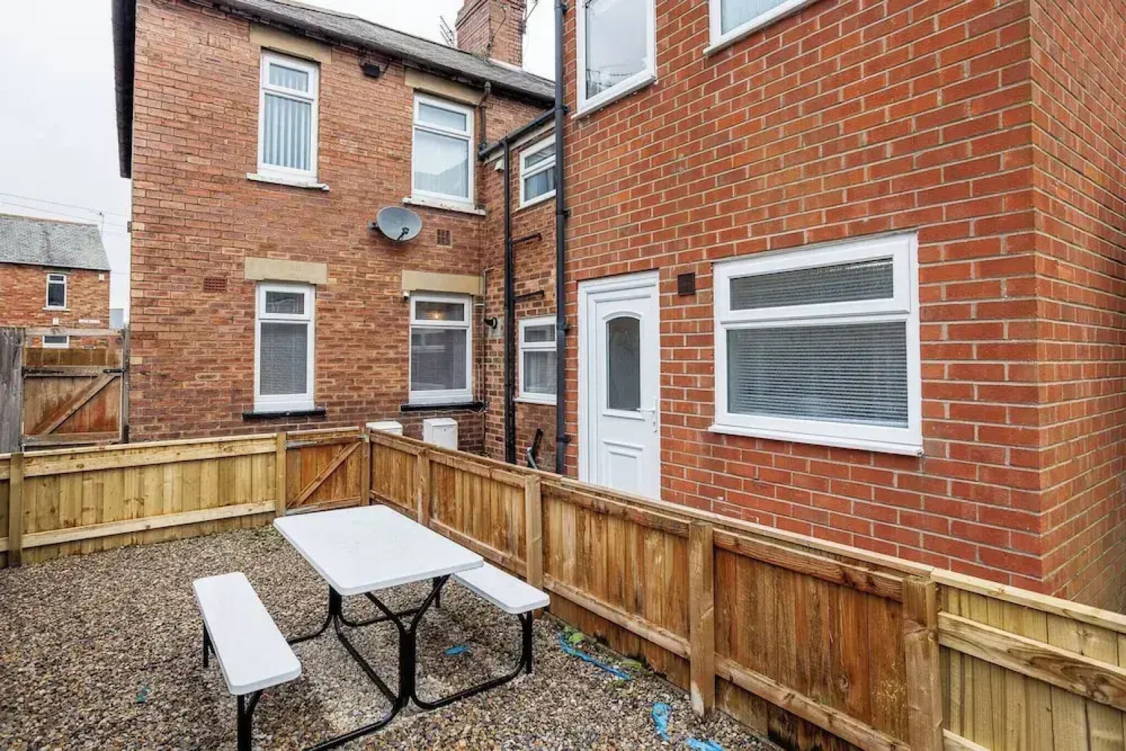 Lilly Rose Bedlington