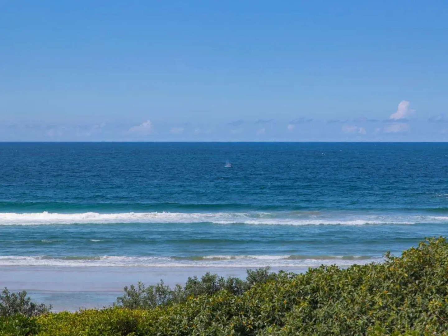 Shoreline Six With Ocean Views To See The Whales