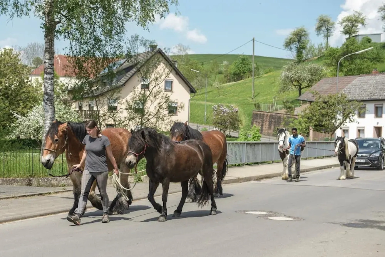 Nengshof - Haus Königskerze