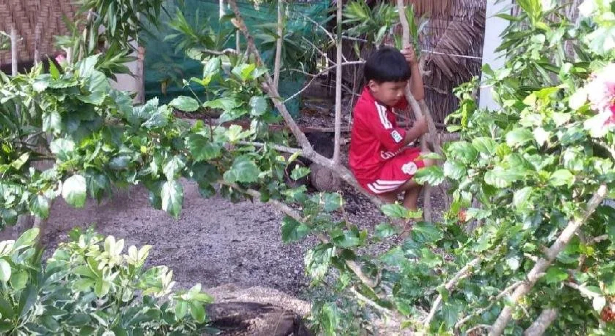 Green Chilli Bungalows