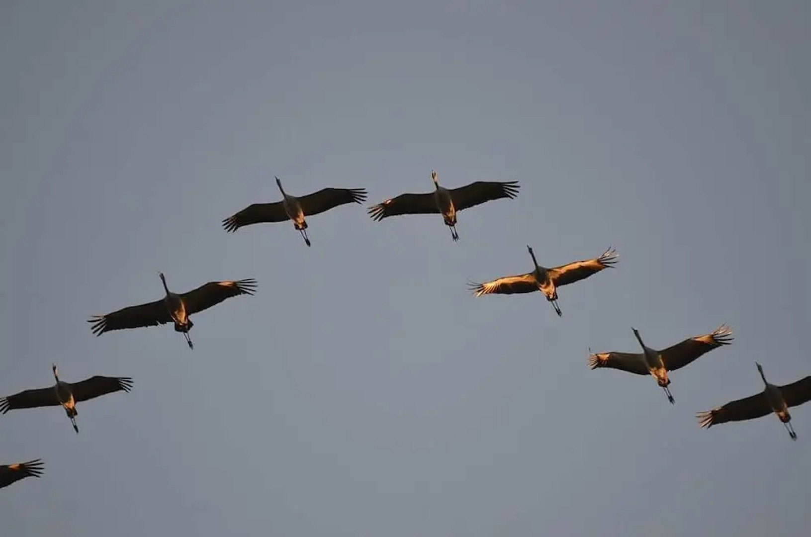 Feriendomizil Am Hafen