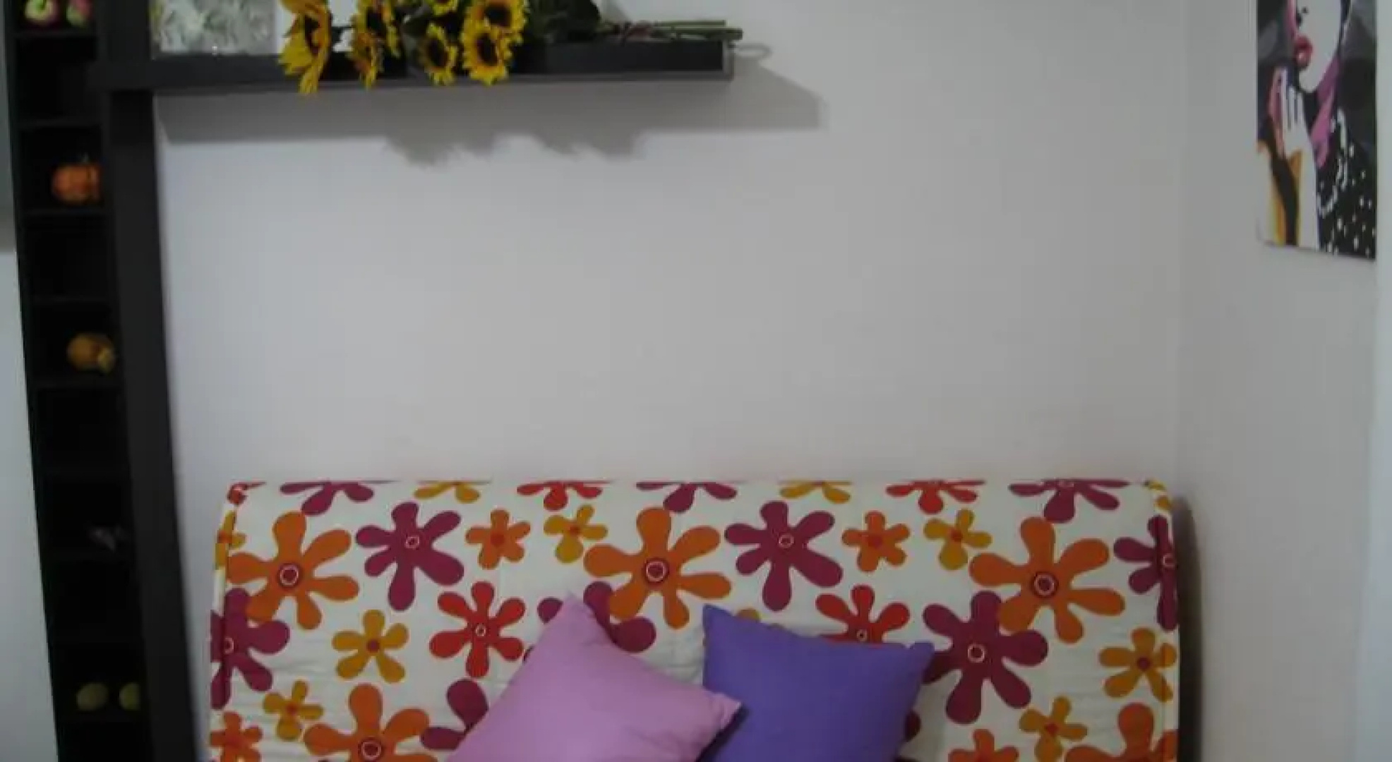 Daffy House