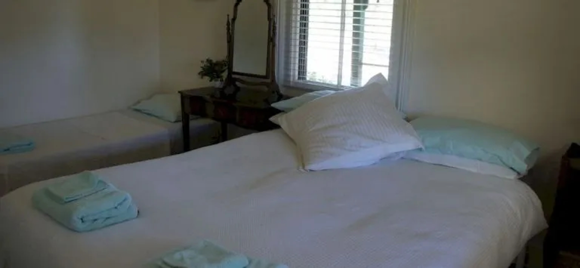 Rosnay Organic Vineyard, Olive Grove, Figs and Farmstay