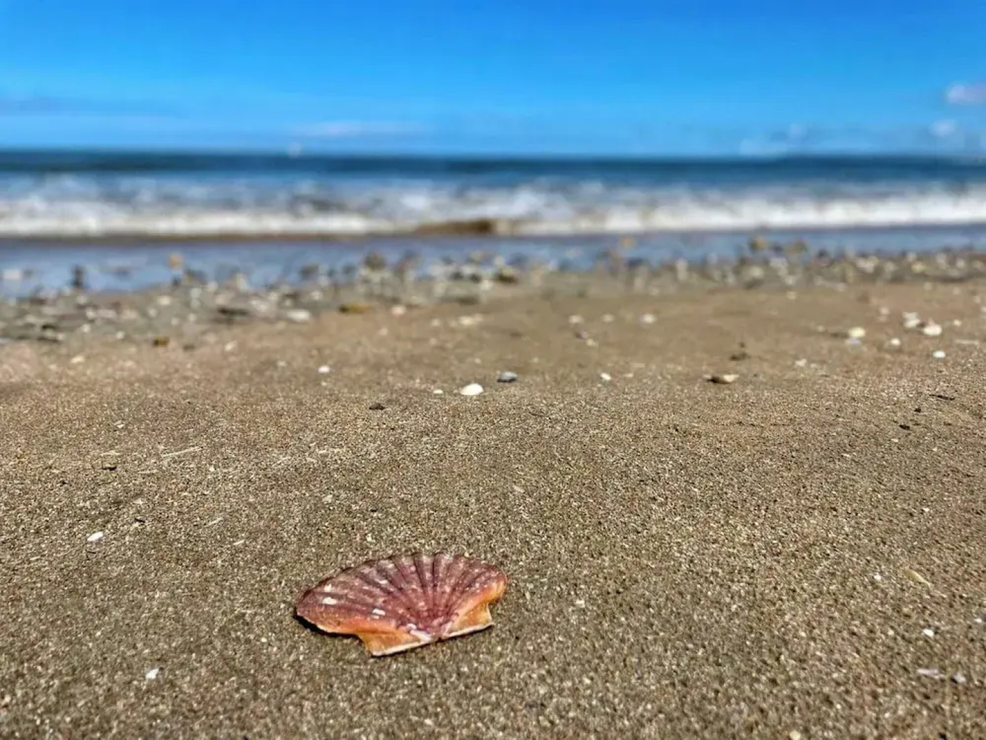 Exceptional 5 Bedroom House Near the Beach