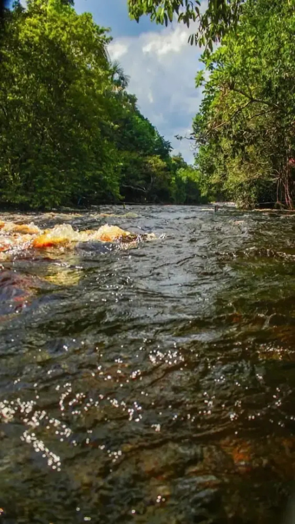 Pedro Alexandre Da Costa