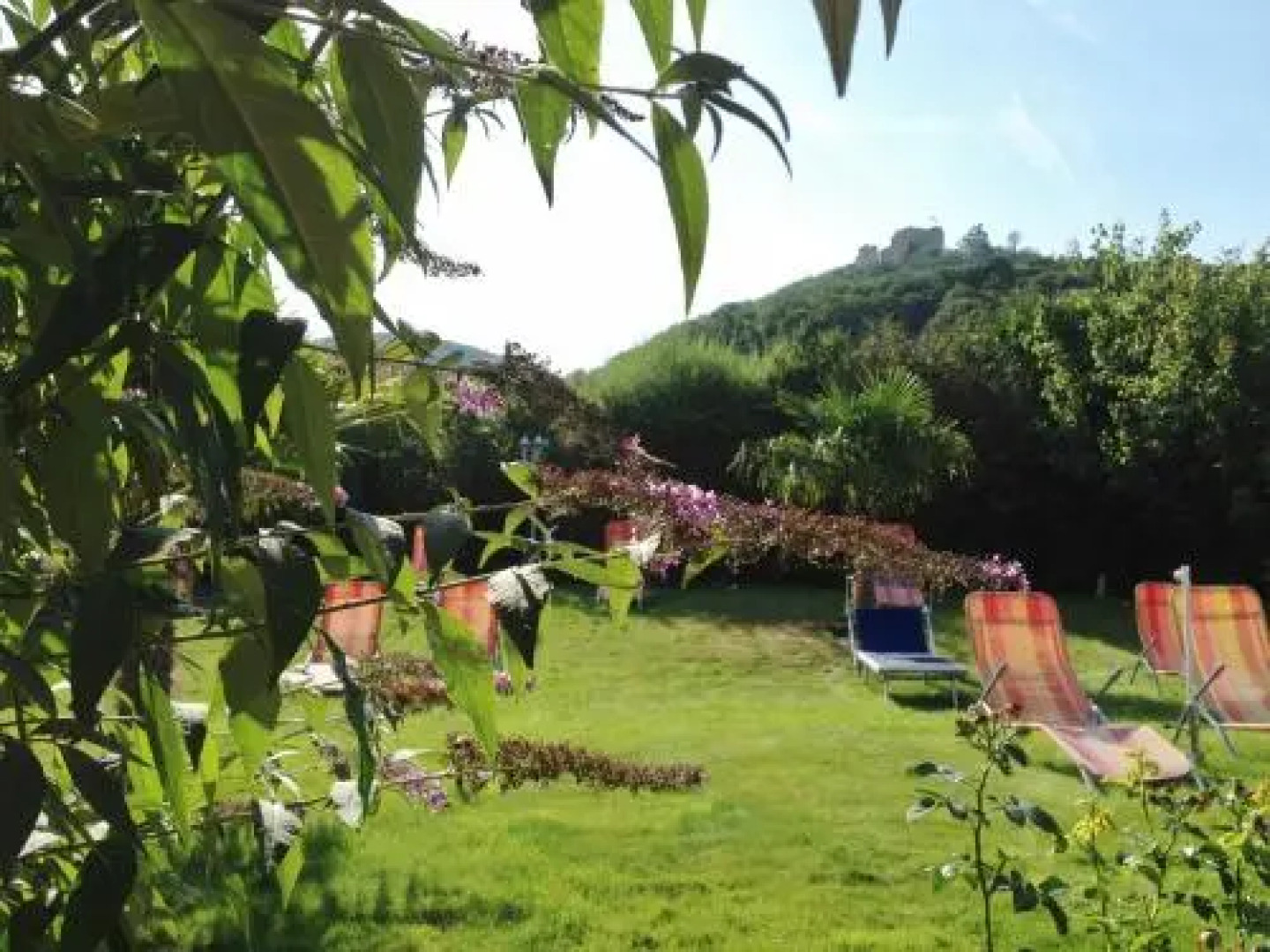 Gästehaus-Weingut Helbighof