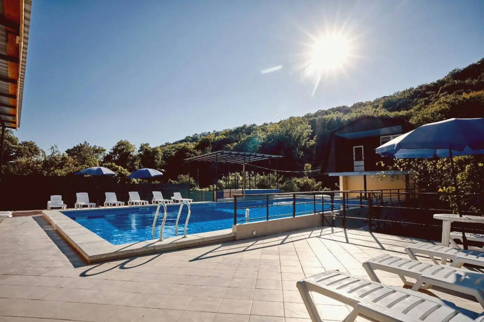 Forest Club (Форест Клаб)