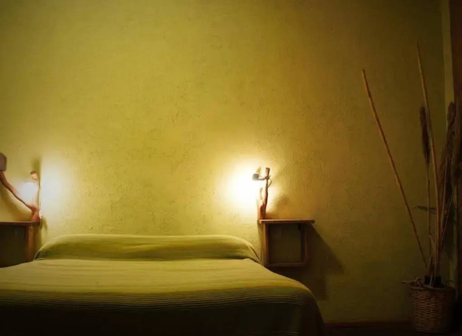 Olivos y Bodegas Cabañas