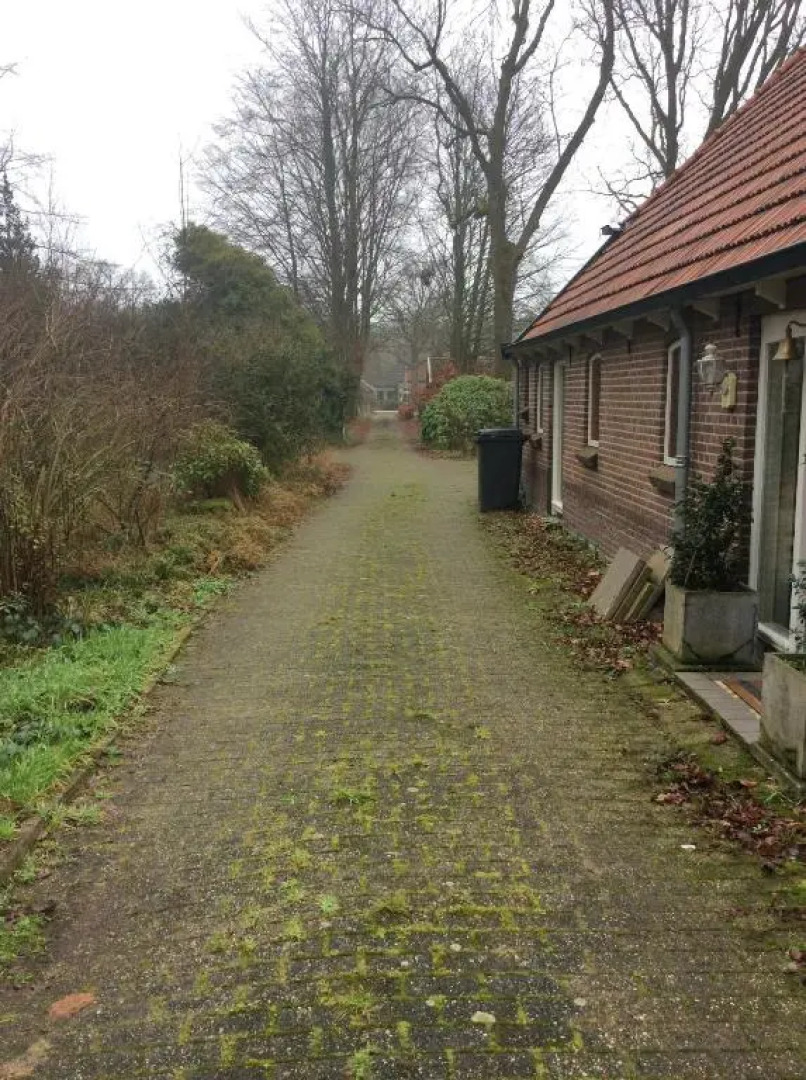 Villa Laurelin, Lothorien