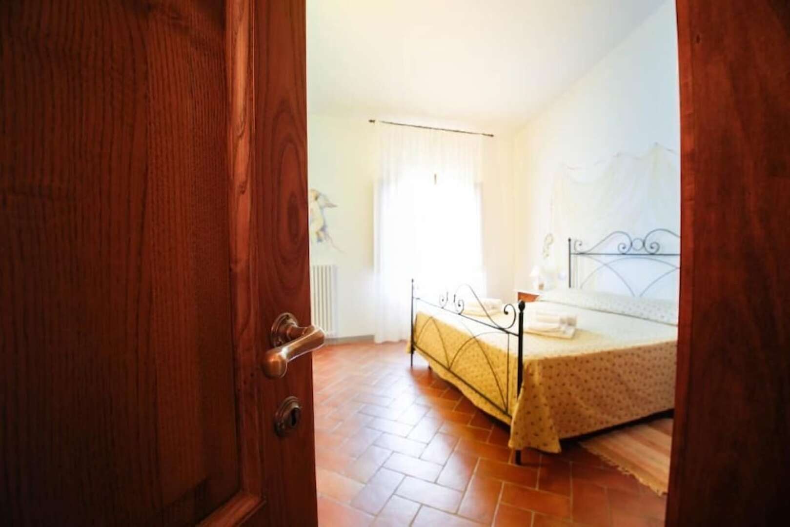 Gatto Bianco Tizzauli