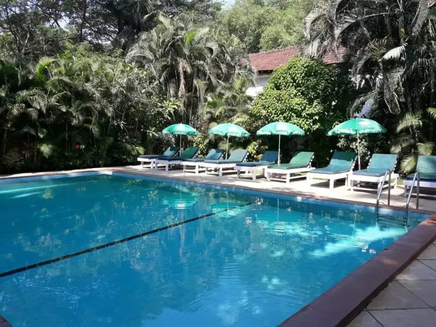 Sea Mist Resort