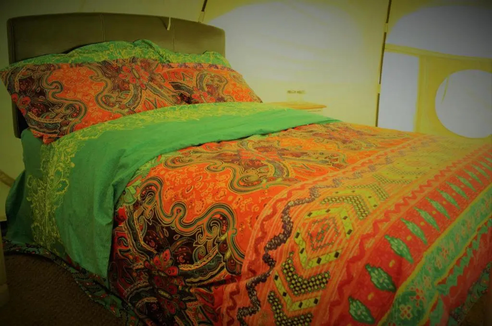 Loire Valley Llama Farm Stay