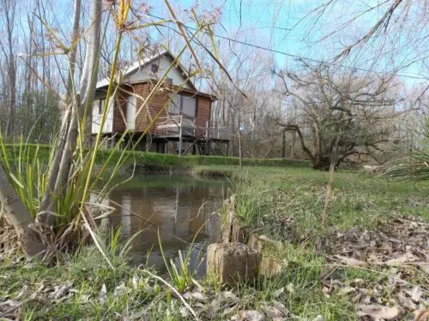 Zarzamora Cabaï¿½as