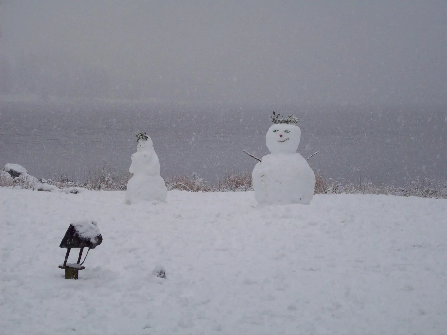 Taychreggan, Signature Collection by Eight Continents