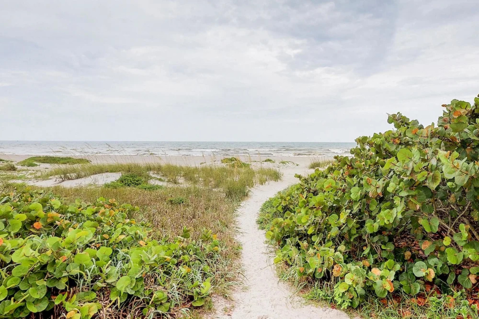 Brista Del Mar Condos