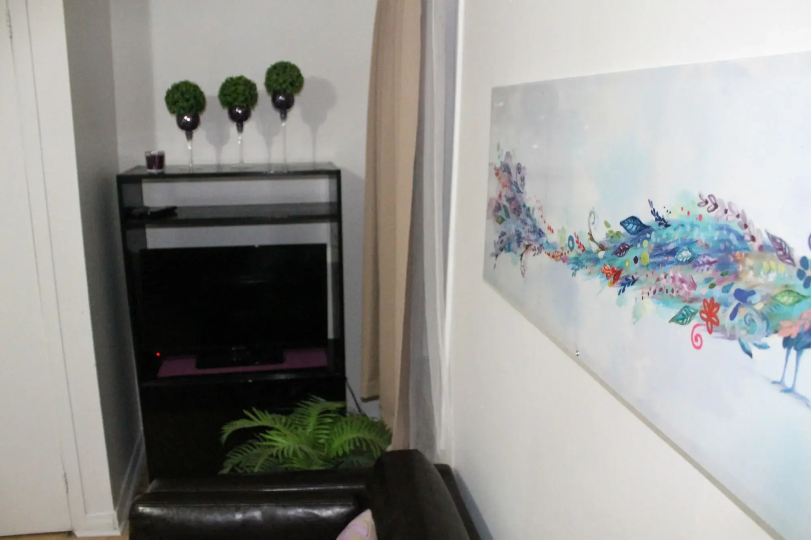 Adib Apartments - 931 Pinecrest Rd, Unit C