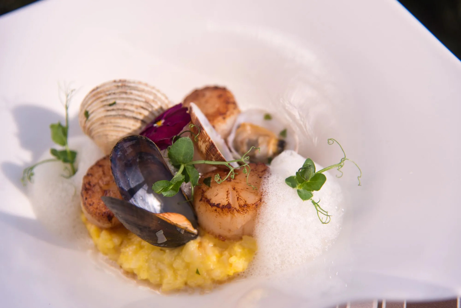 Best Western Plus Hotel des Francs