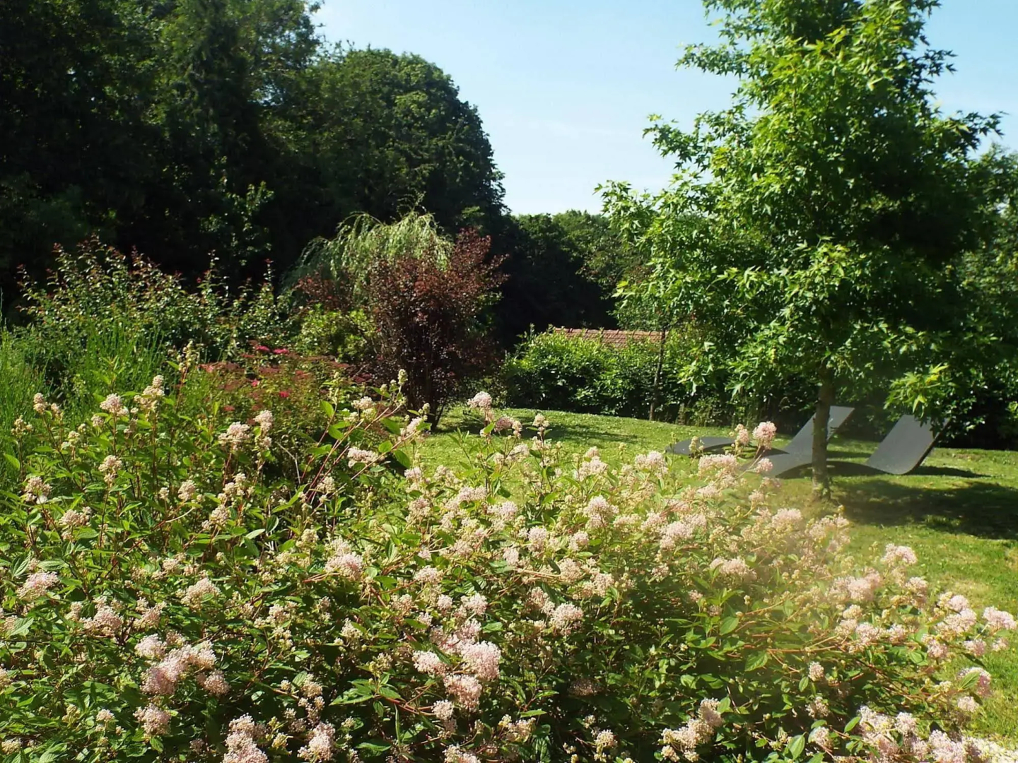 Les Roses de Montherlant
