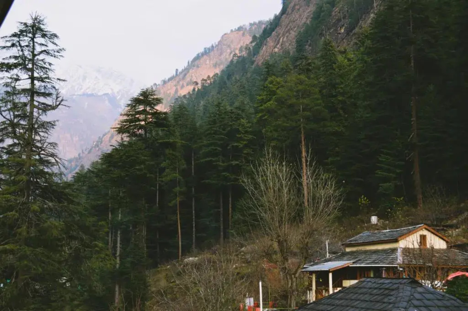 The Woodward Two By Oyo Room