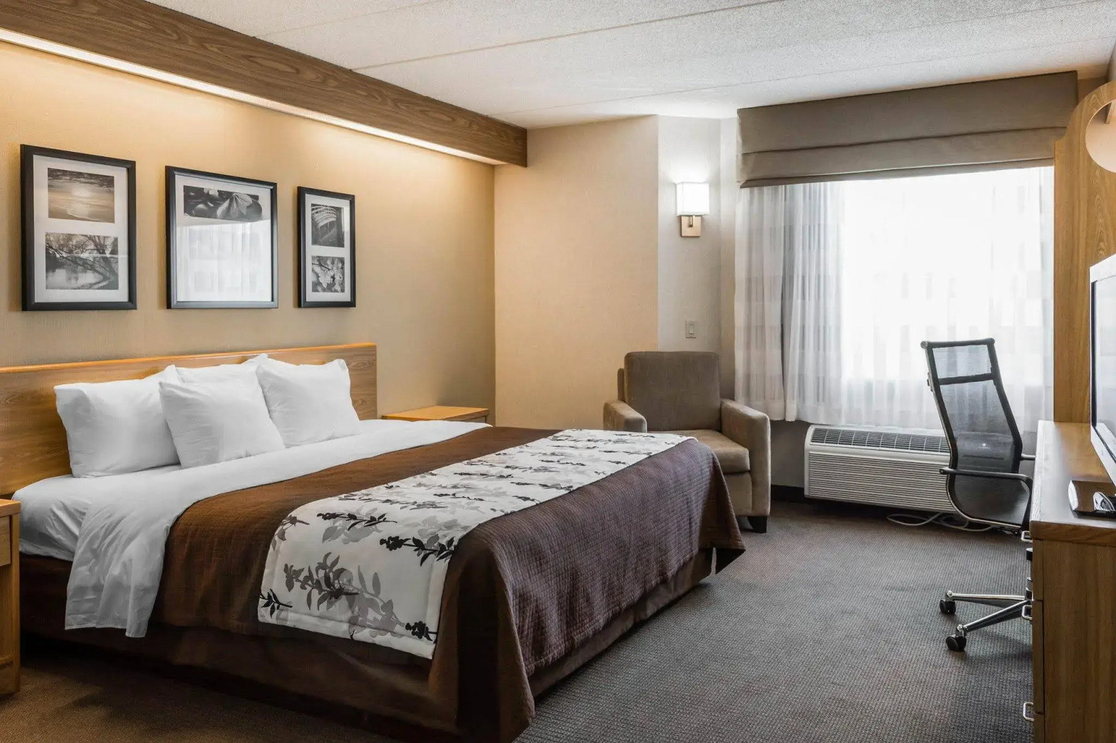 Spark by Hilton Lynchburg