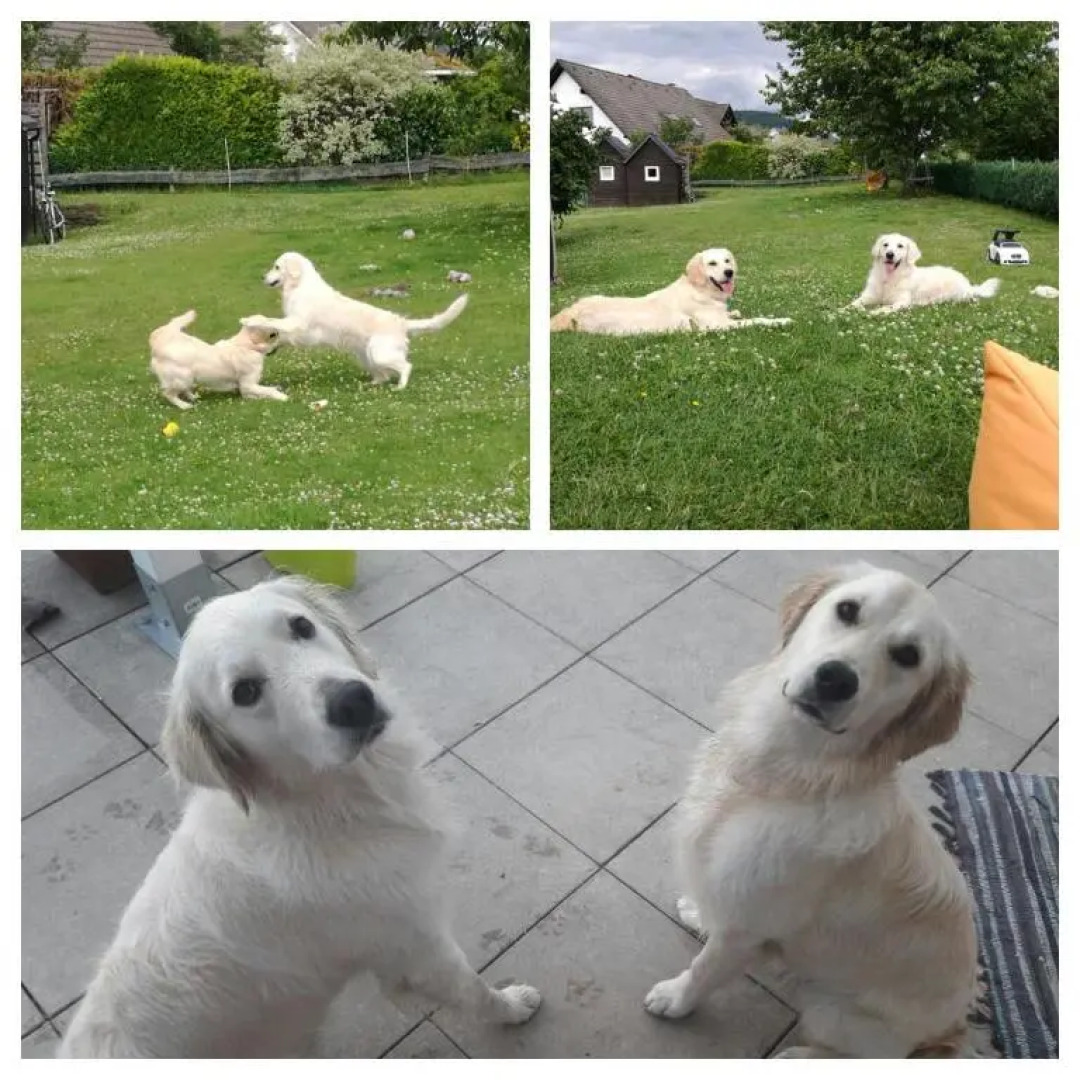 Landhaus Schlossberg