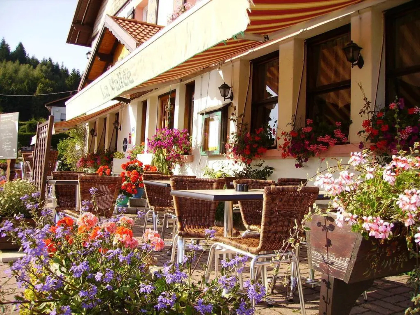 Hôtel La Vallée