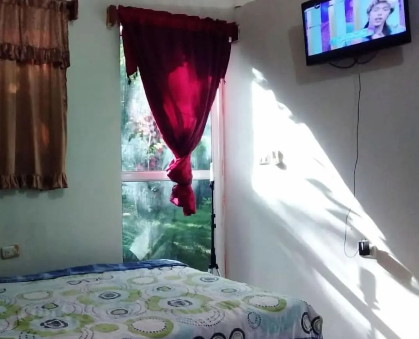 Green Jungle Hotel y Restaurante