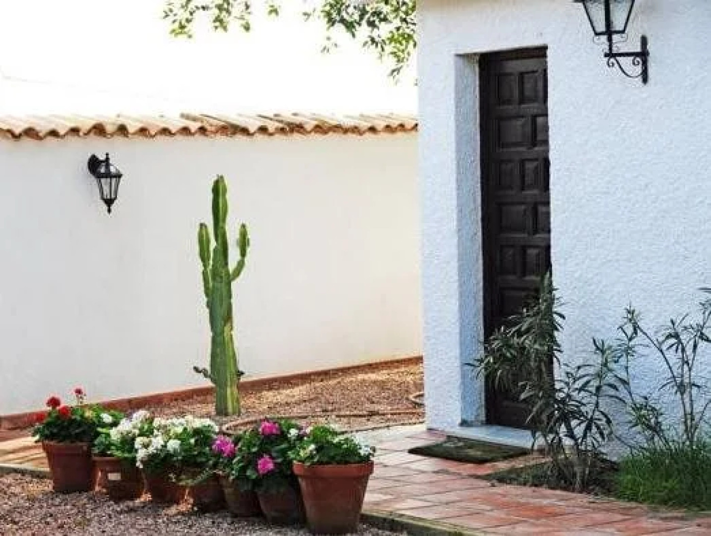 Casa Del Artista Bed & Breakfast