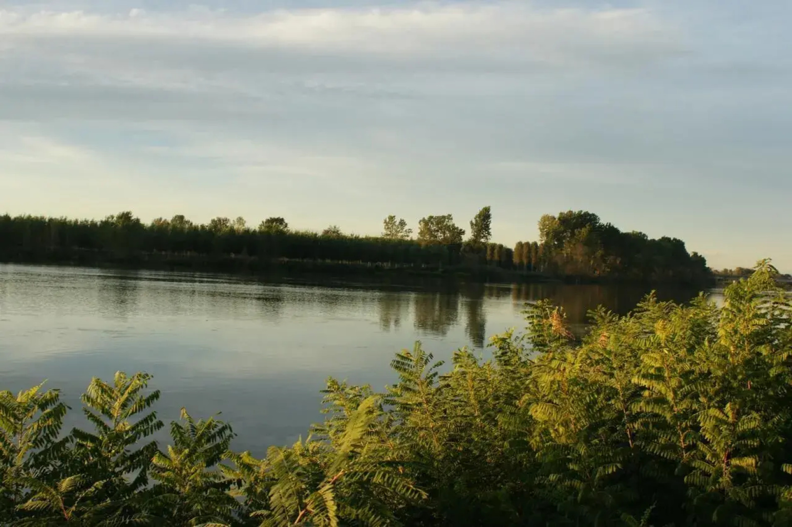 La Finestra sul Po Agriturismo