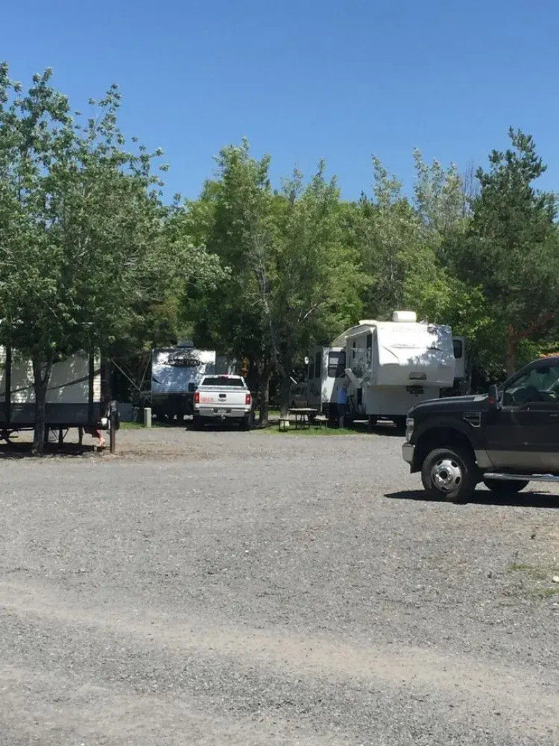 Sunny Springs Resort & Campground