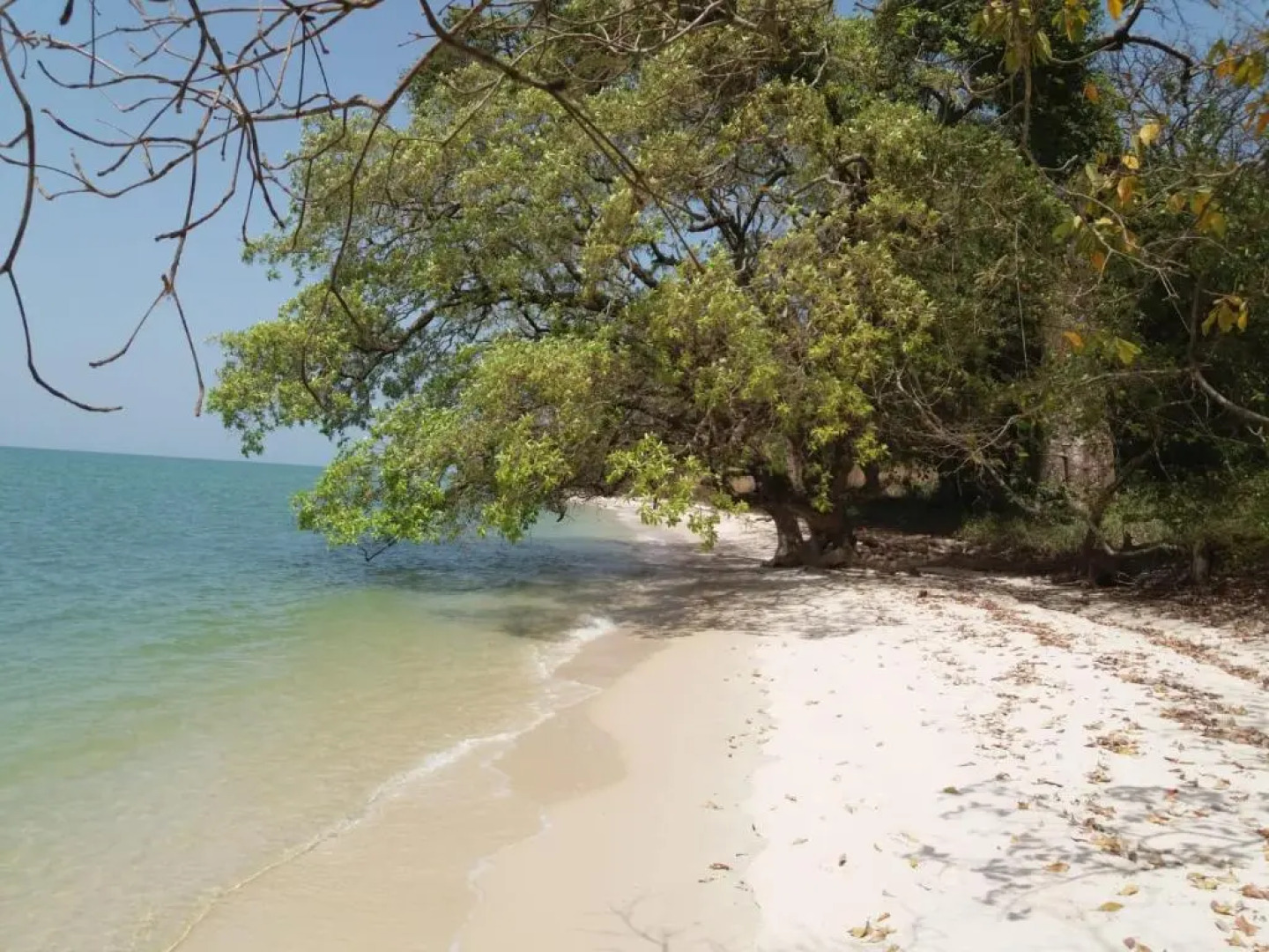 Saldomar B&Biosphere