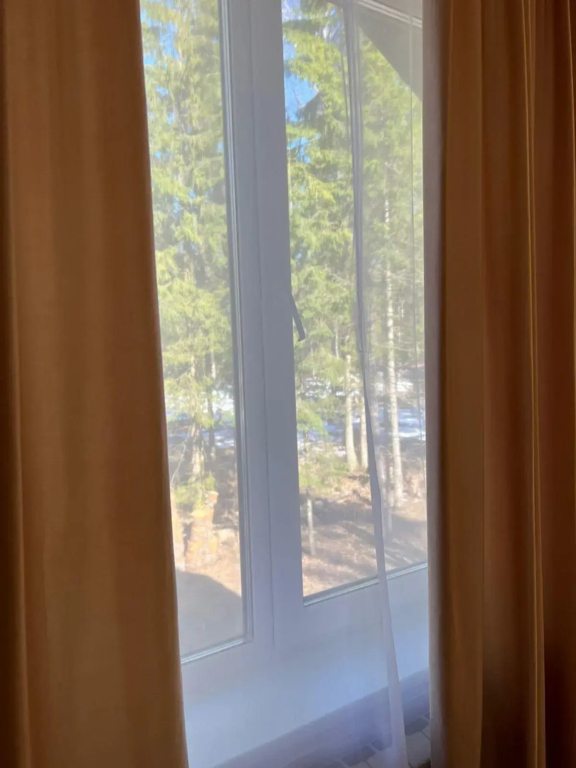 Дом в сосновом лесу