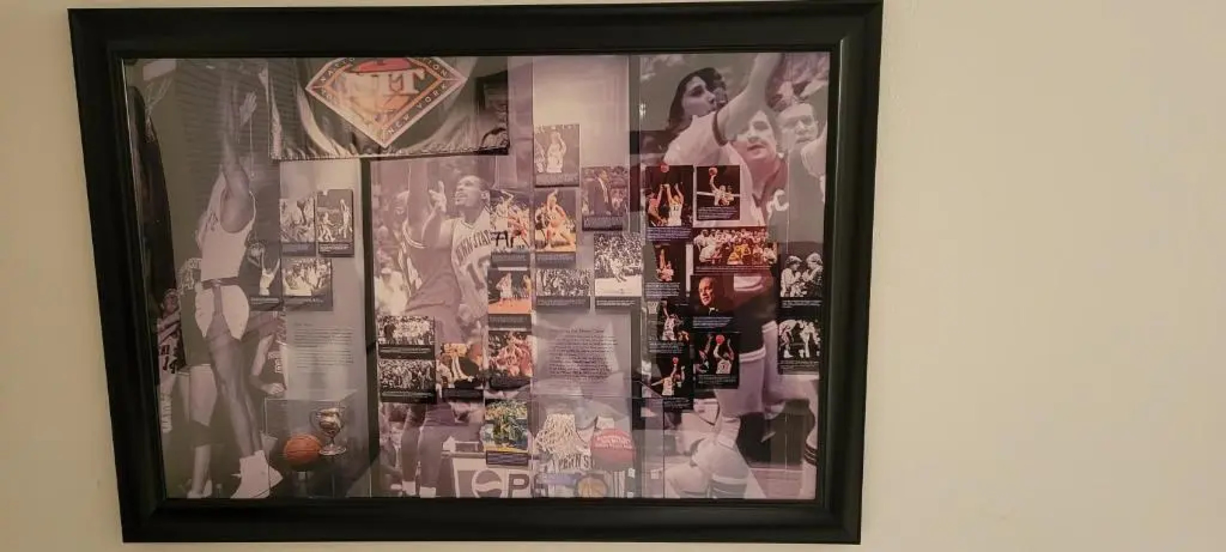 Lion's Den Fan Caves! B&B 3 Bd 2 Bth