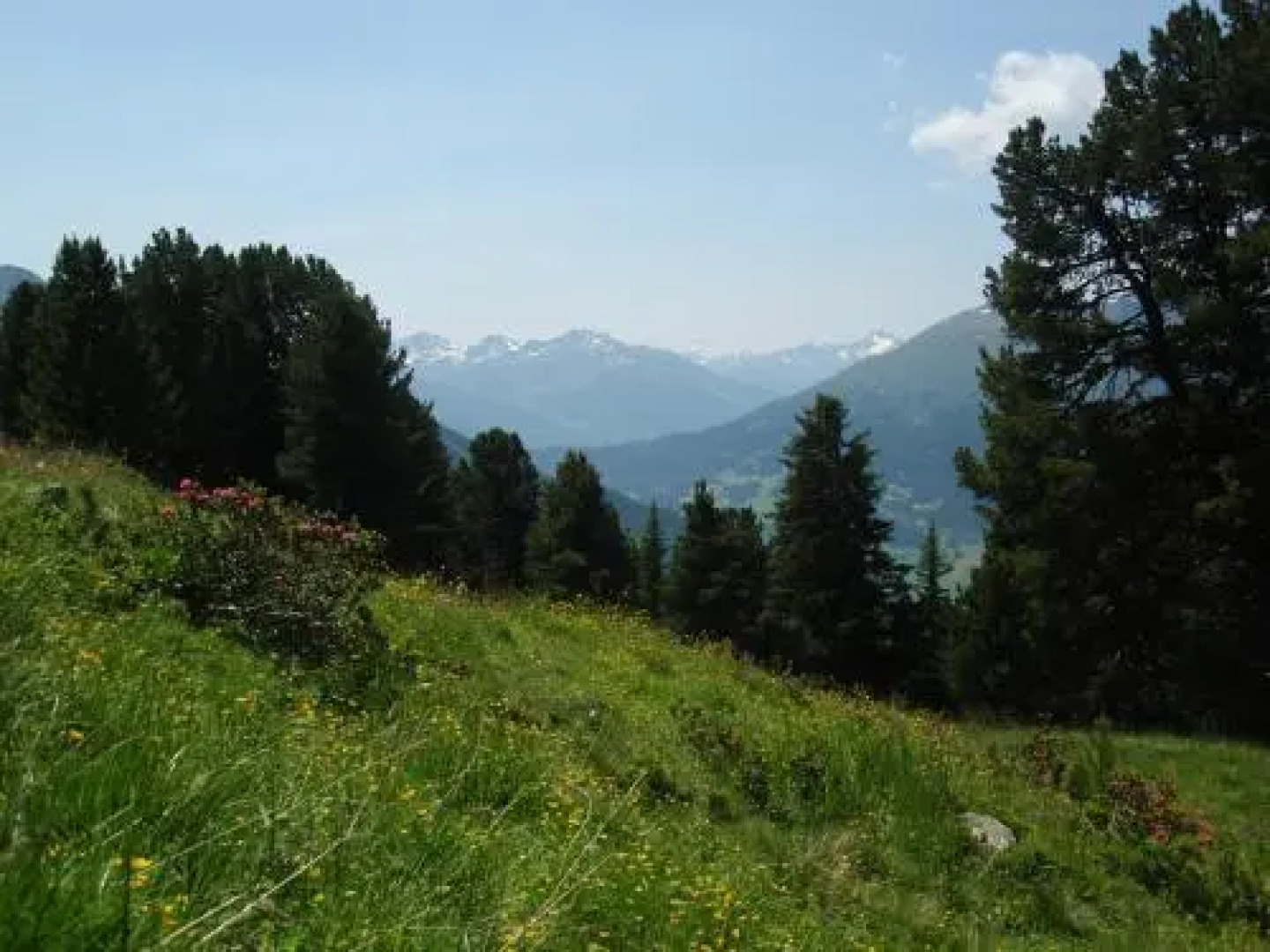 Ferienwohnungen Schöpf