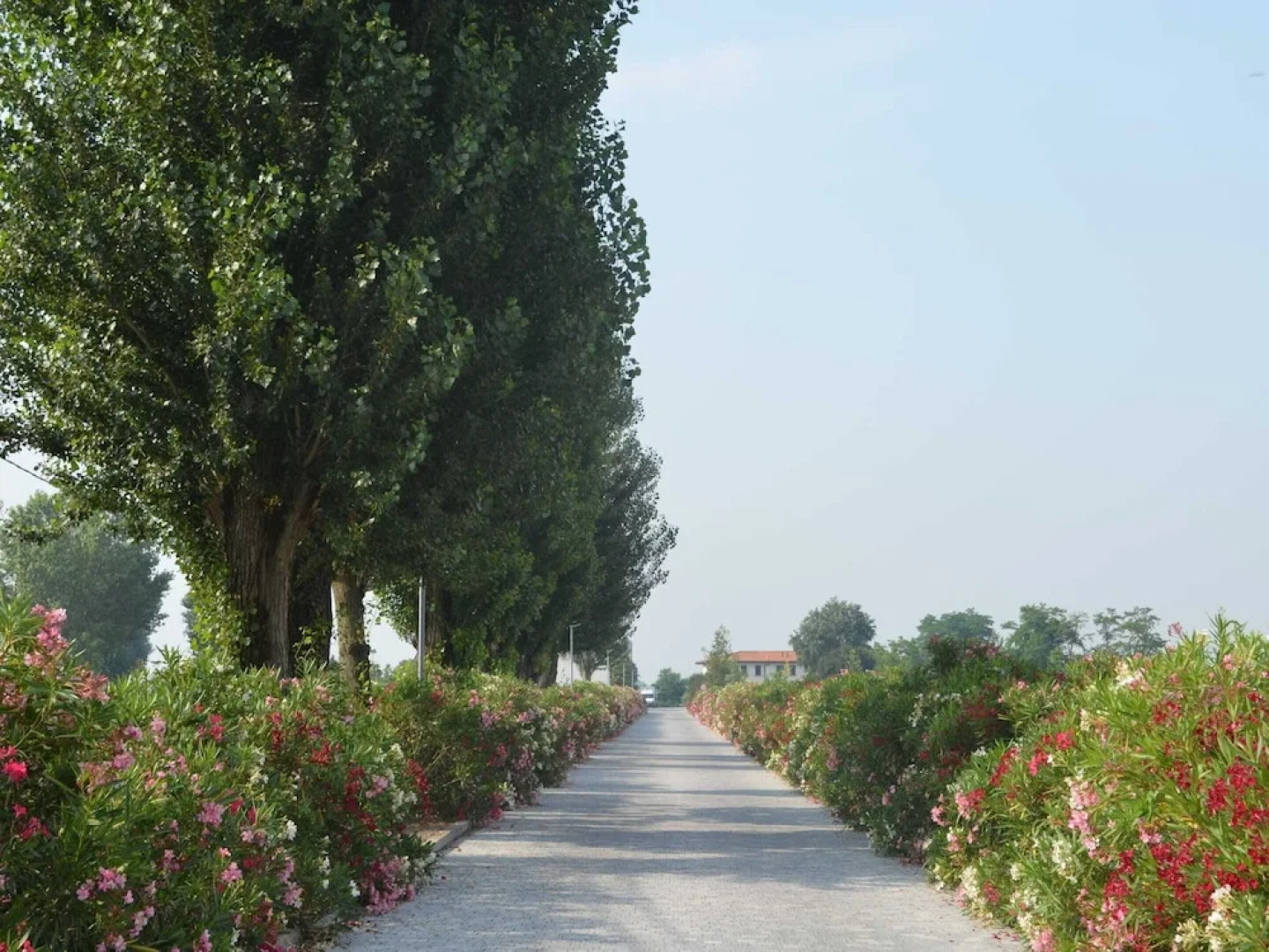 Pet-friendly Getaway With Pool