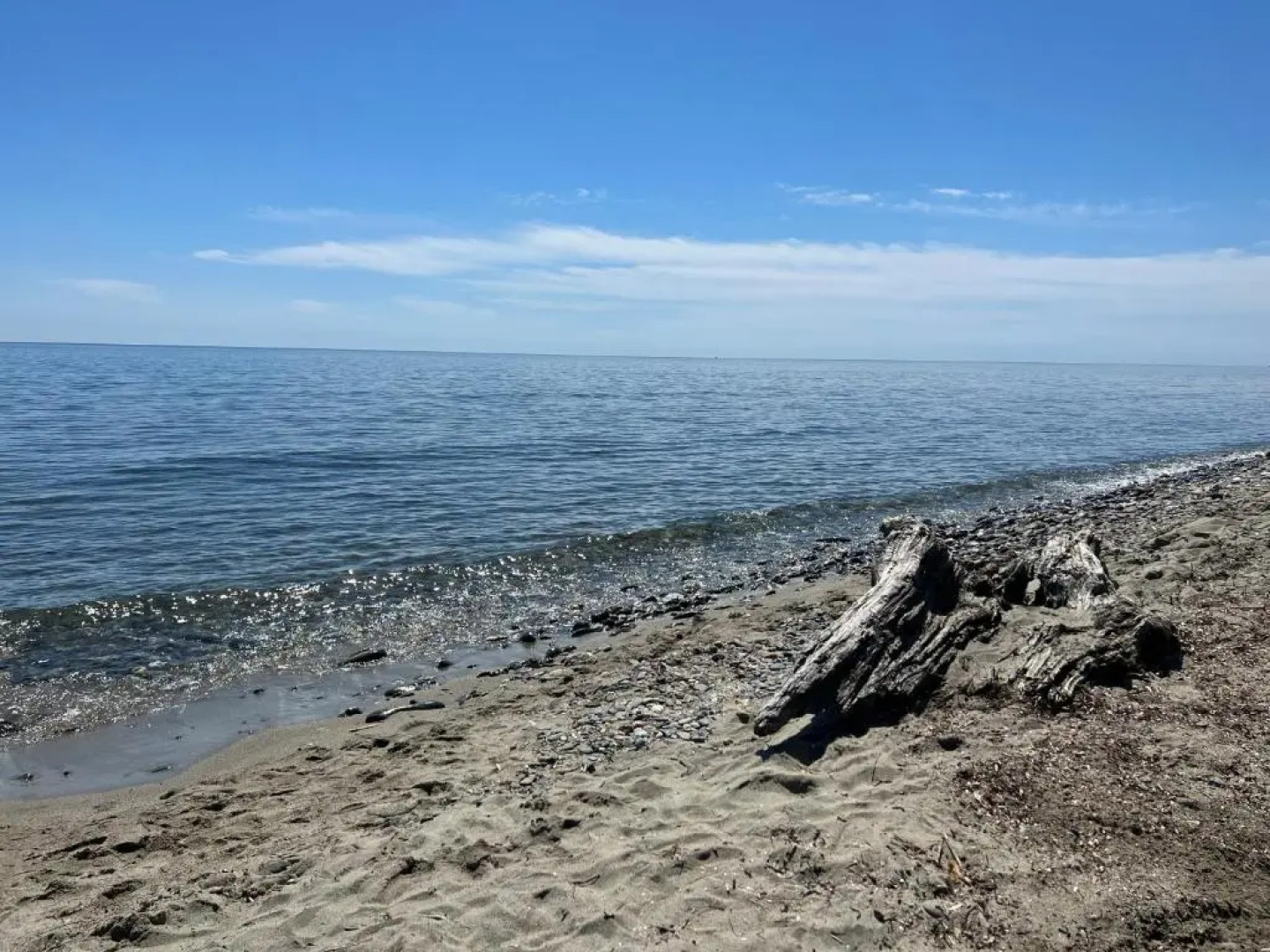 Appartement n 216 Moriani plage