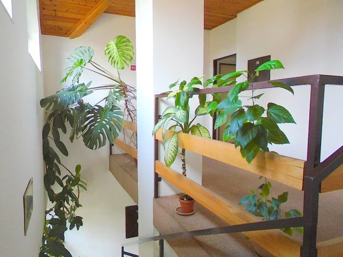 Wellness Penzion Lázně Jablonec