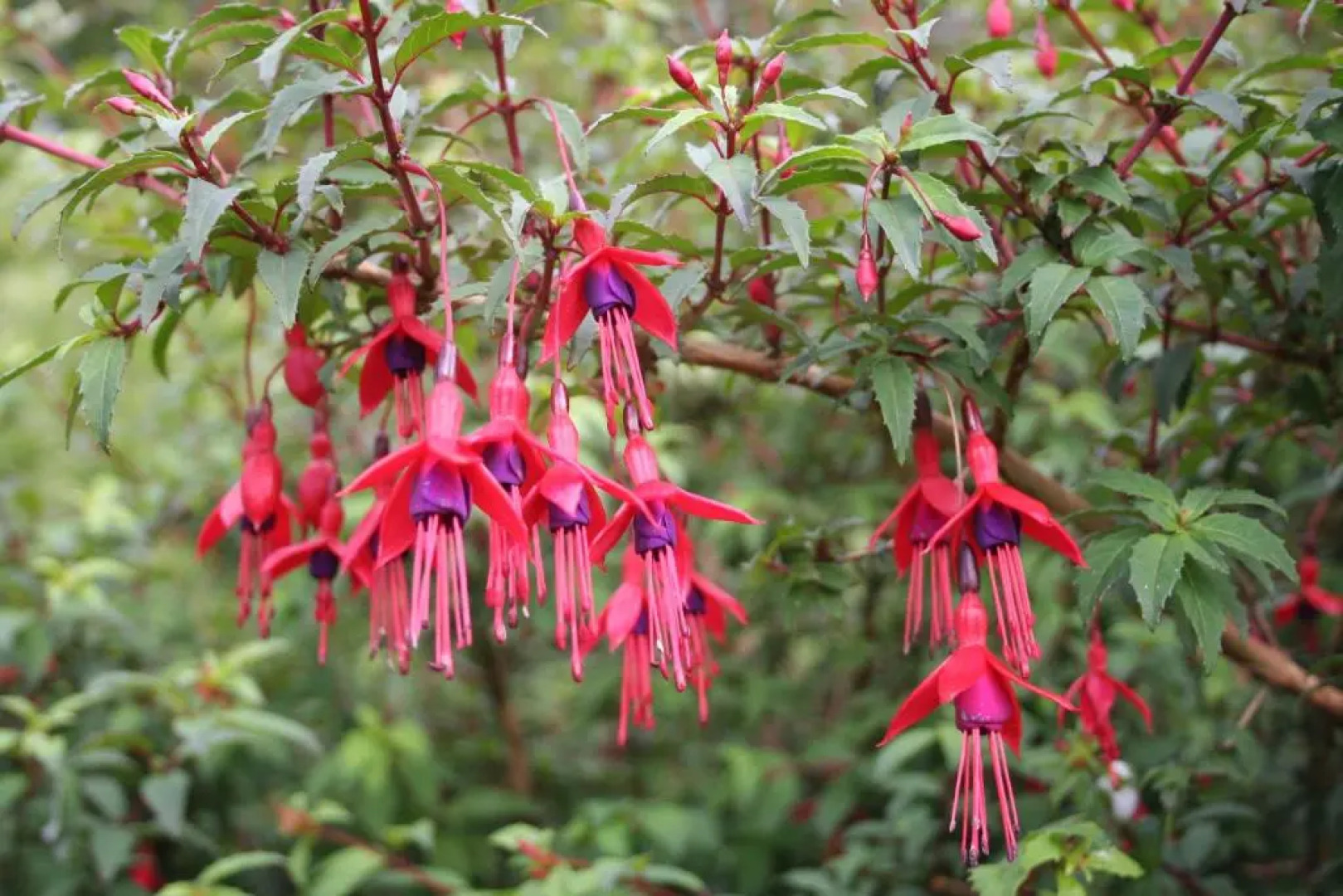 Riverlodge Self Catering