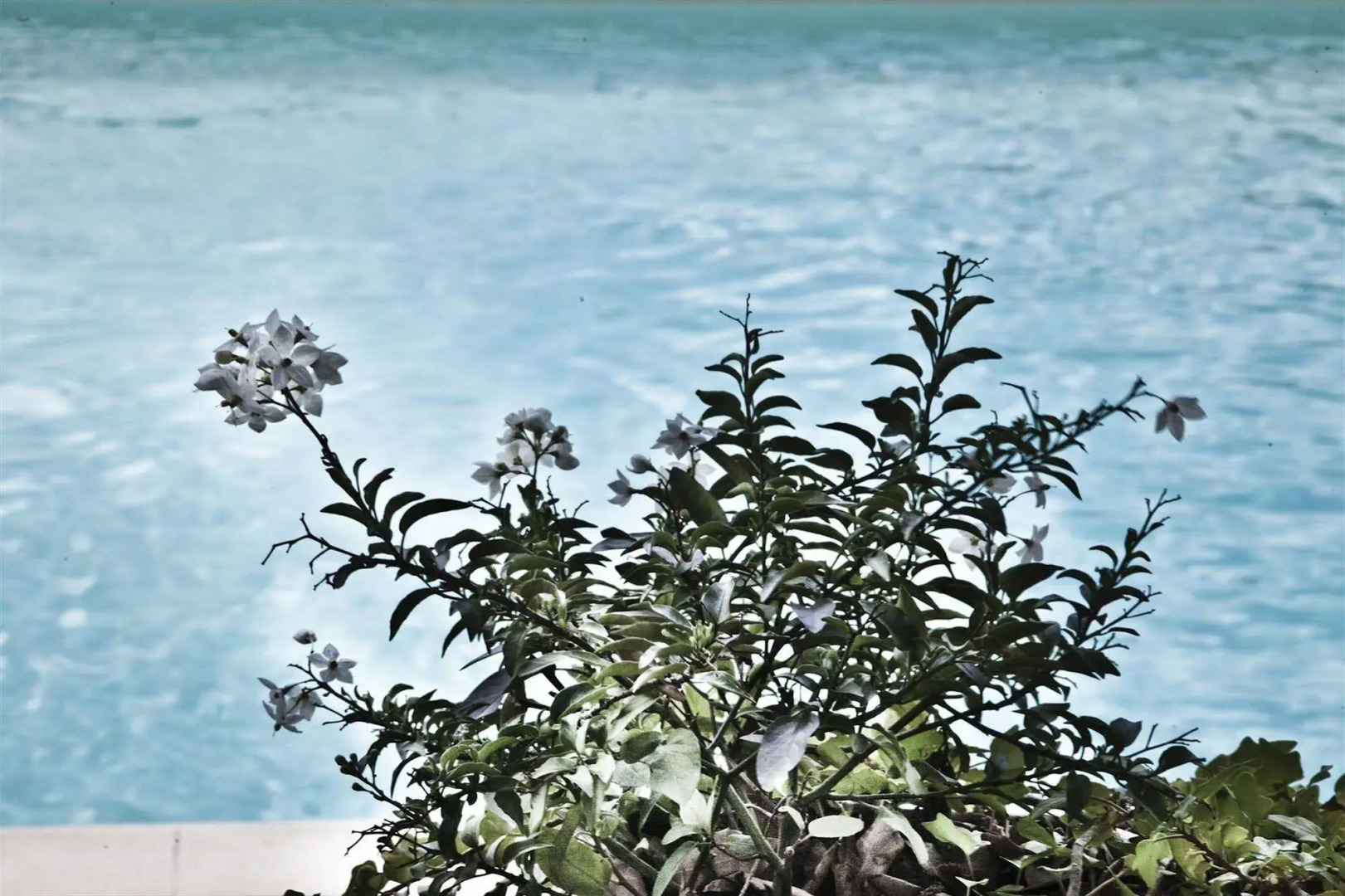 Montelucci Country Resort & Agriturismo di Charme