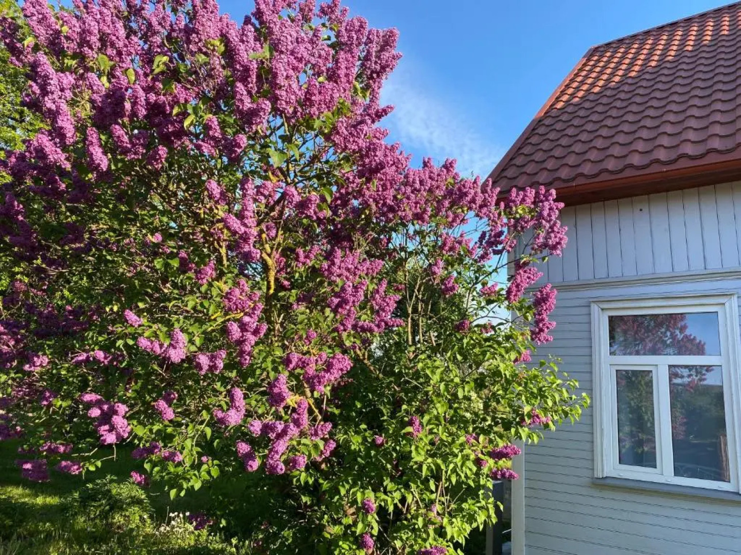 Skrunda Apartments Rustic