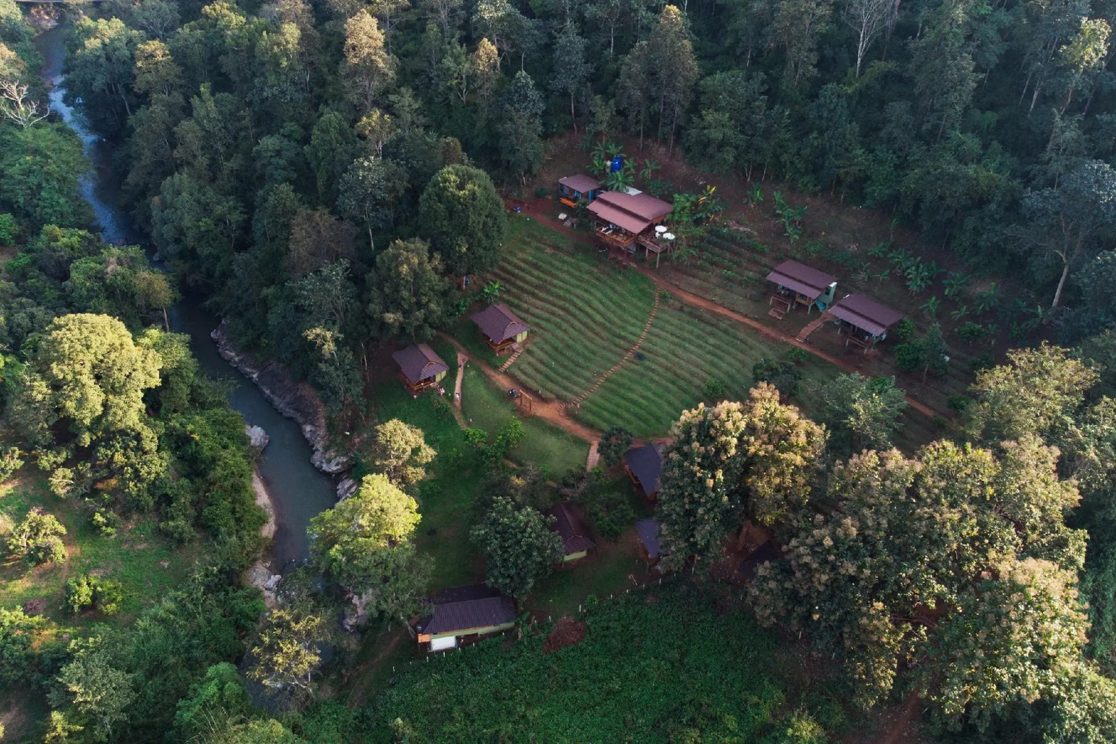 Chiang Mai Elephant Friends