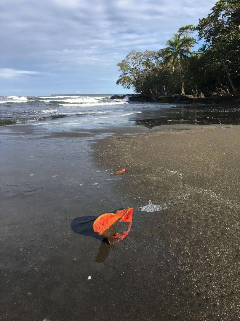 Magellan Boutique Hotel