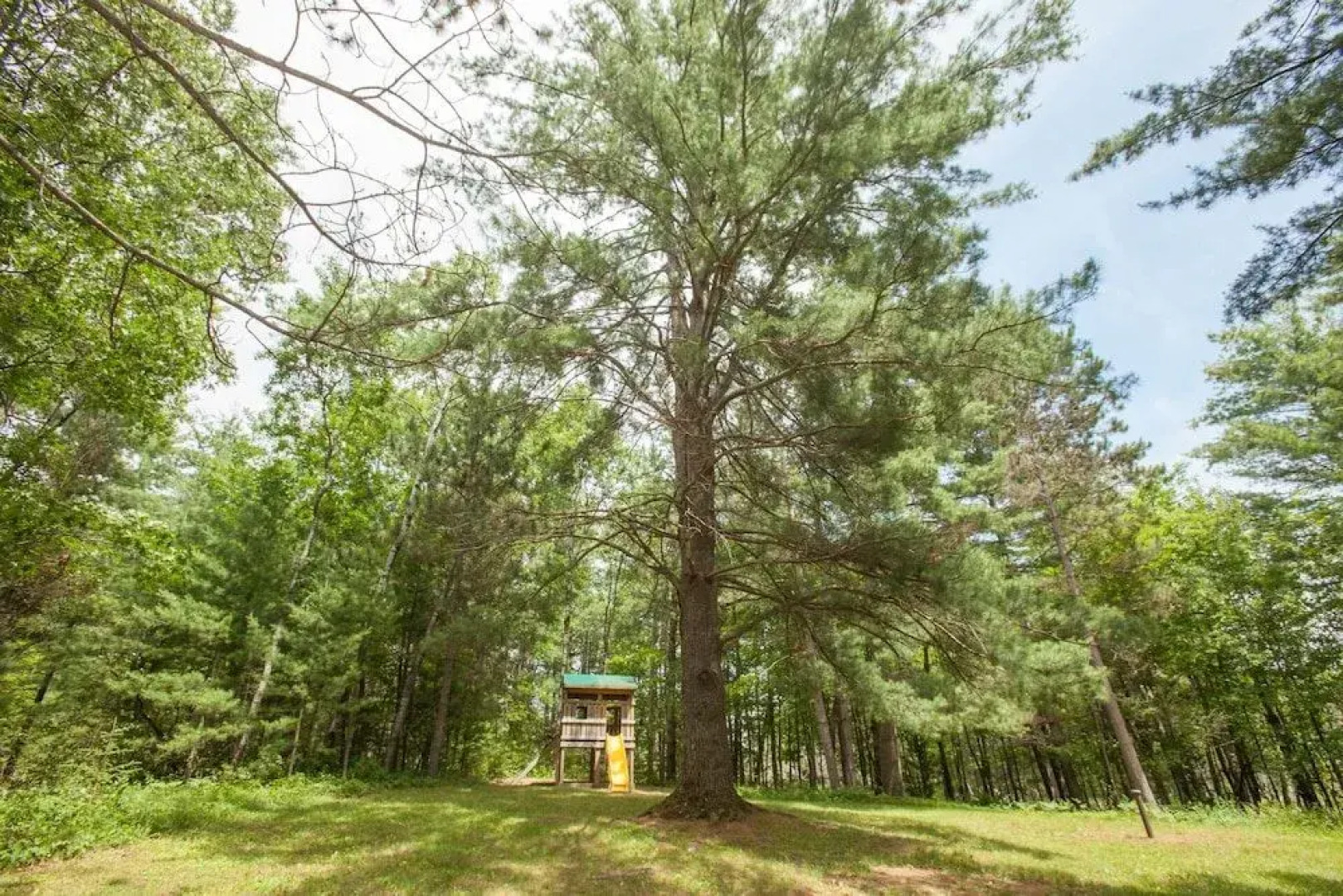 Our Wielgot Tradition