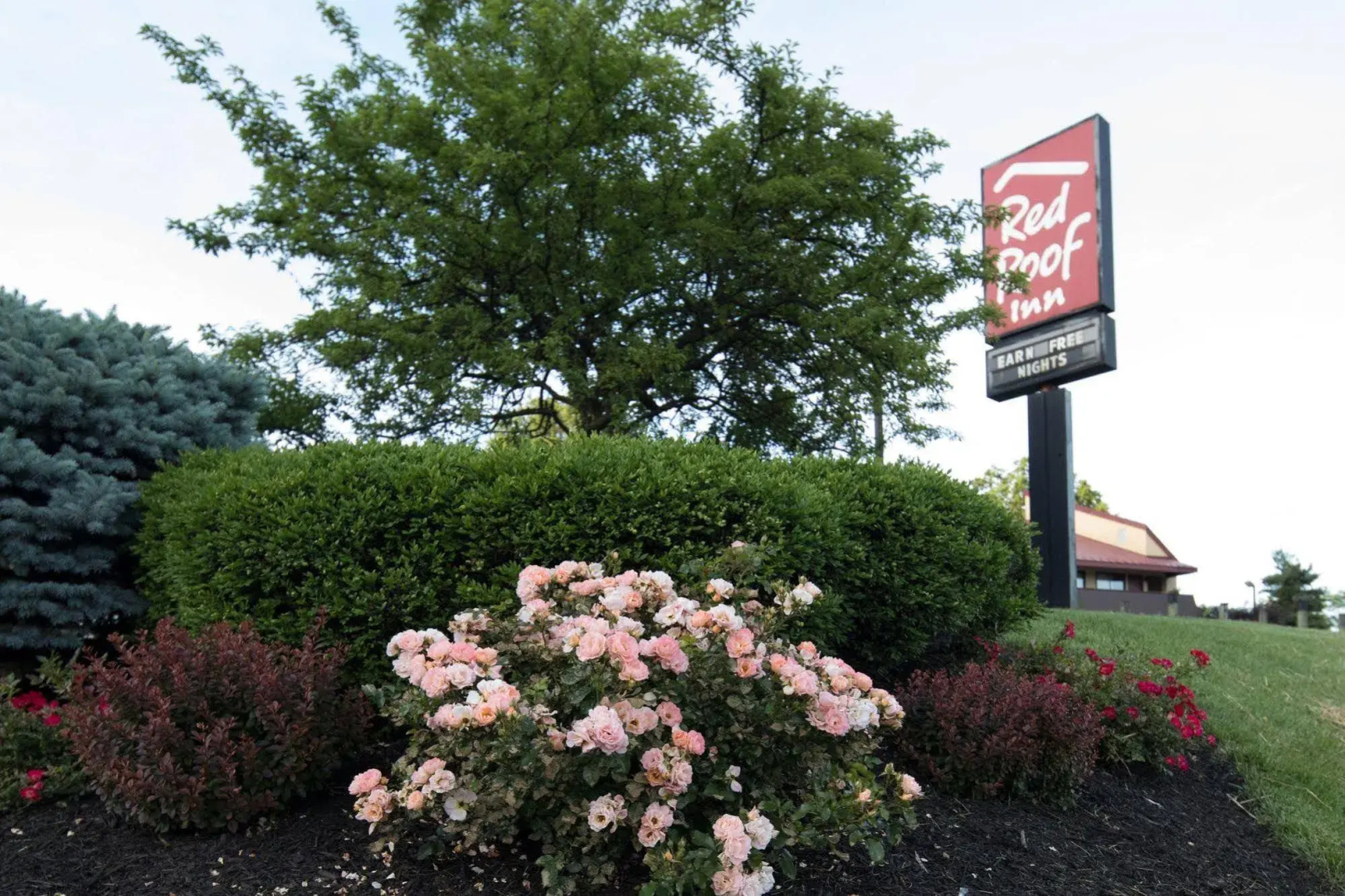 Red Roof Inn Cincinnati Northeast - Blue Ash