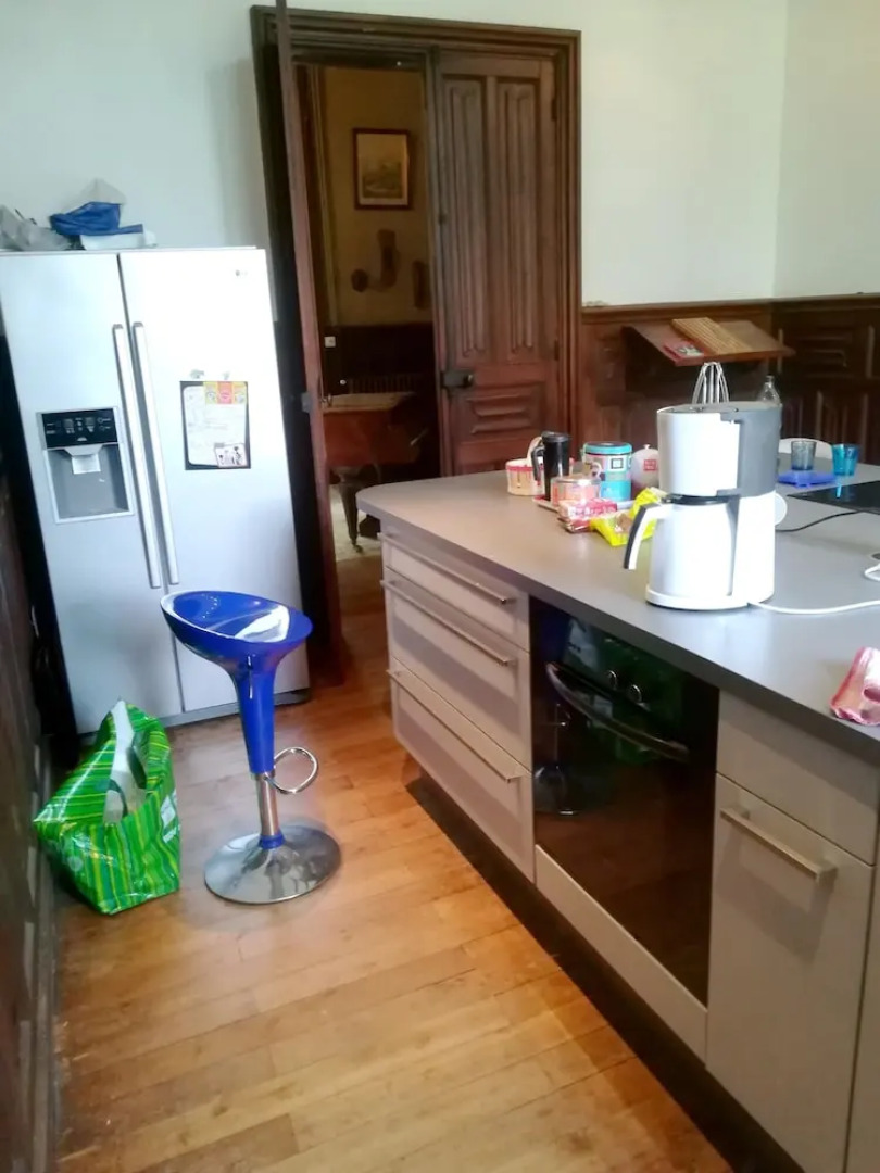 Mansion With 7 Bedrooms in Mosnay, With Enclosed Garden and Wifi